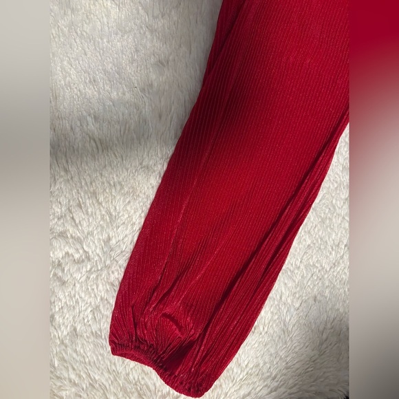 Elegant Red Ruffled Mini Dress A. Calin by Flying Tomatoe Size Small - NWOT - Picture 5 of 8